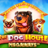 The Dog House Megaways 거대한 당첨금과 보너스를 갖춘 슬롯 완전 분석