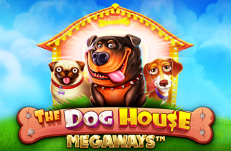 The Dog House Megaways 거대한 당첨금과 보너스를 갖춘 슬롯 완전 분석