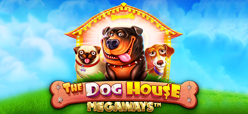 The Dog House Megaways 거대한 당첨금과 보너스를 갖춘 슬롯 완전 분석